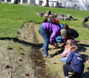 Nu photo rain garden